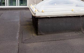 disadvantages of Winterborne Stickland flat roofs