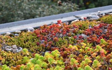 the cost of Winterborne Stickland green roof installation
