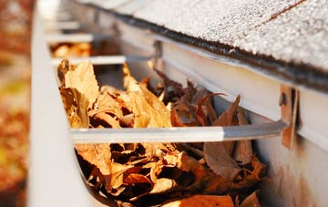 Winterborne Stickland gutter cleaning companies