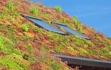 Winterborne Stickland living roof systems