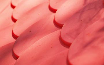 Winterborne Stickland plastic roof costs