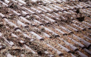 Winterborne Stickland roof cleaning companies