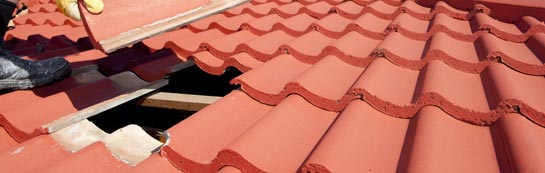 compare Winterborne Stickland roof repair quotes