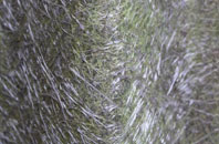 Winterborne Stickland fibreglass roof work