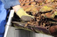 Winterborne Stickland gutter cleaners