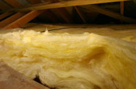 Winterborne Stickland pitch roof insulation